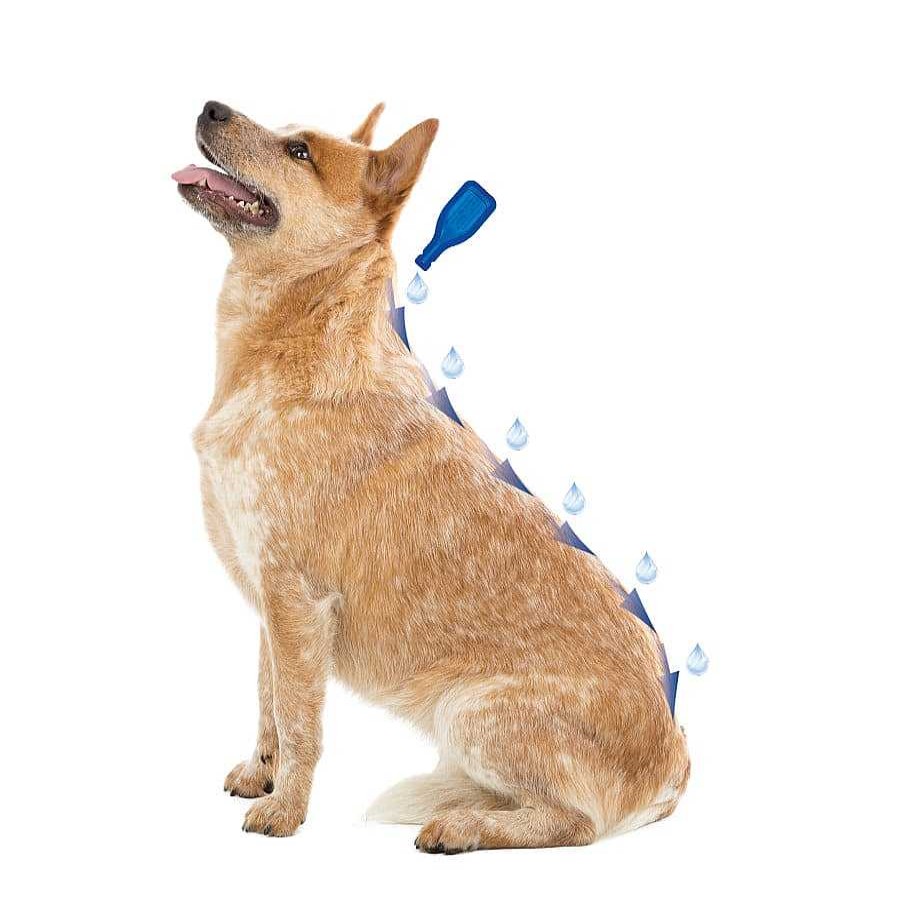 Perros Beaphar Antiparasitarios | Beaphar Caniguard Duo Pipetas Antiparasitarias Para Perros Peque Os