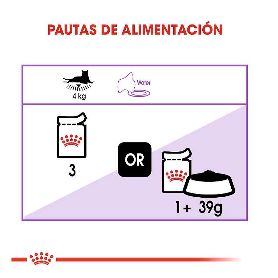 Gatos Royal Canin Comida H Meda | Royal Canin Feline Sterilised Salsa Sobres Para Gato