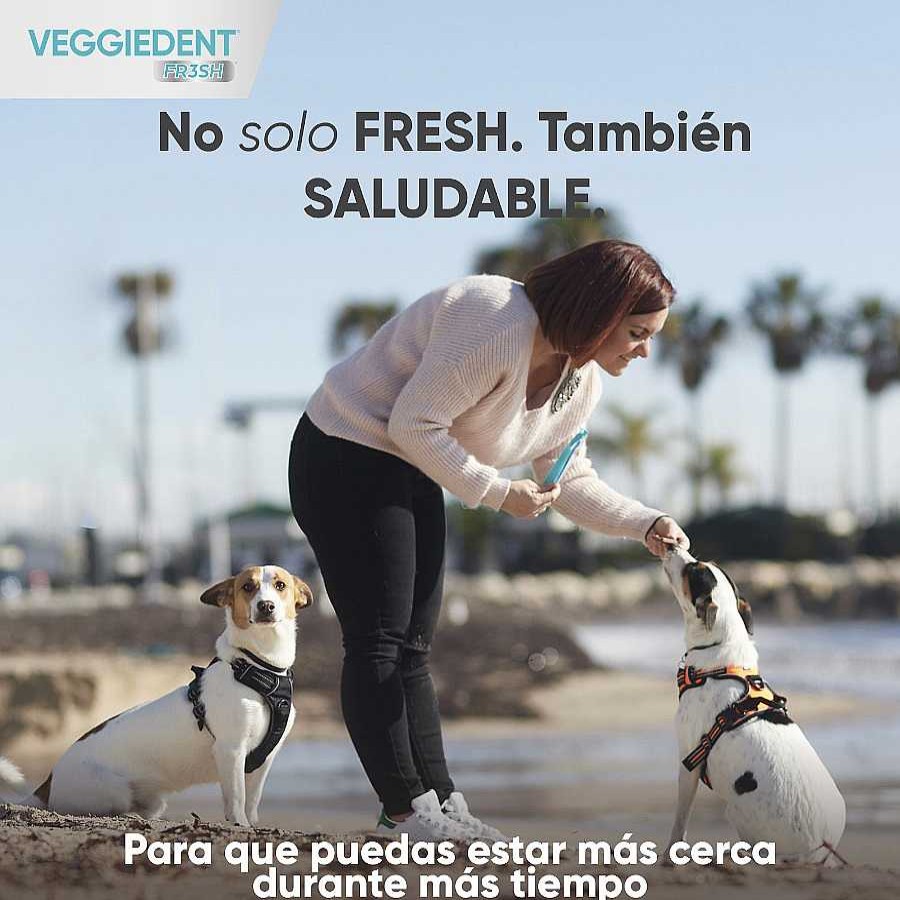 Perros Virbac Snacks Y Chuches | Virbac Snacks Dentales Veggiedent Fresh Para Perros De Raza Peque A