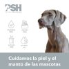 Perros PSH Cuidado Del Pelo | Psh Hypoallergenic Ritual Champ Para Perros Y Gatos