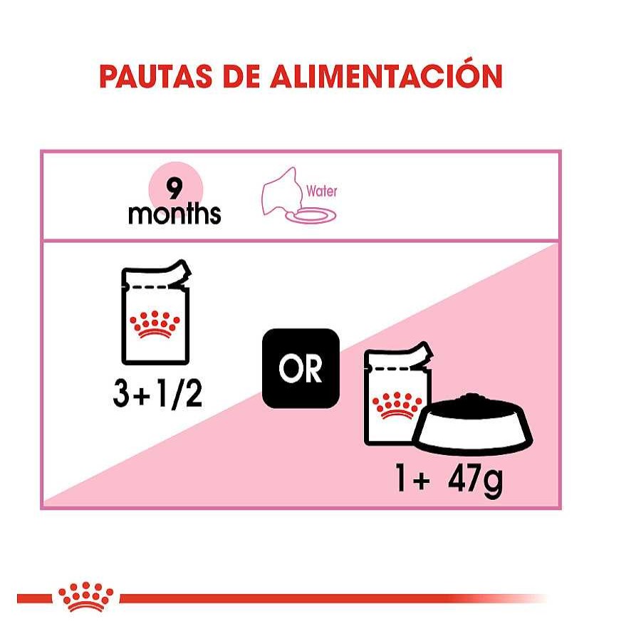 Gatos Royal Canin Comida H Meda | Royal Canin Kitten Sterilised Gelatina Para Gatos