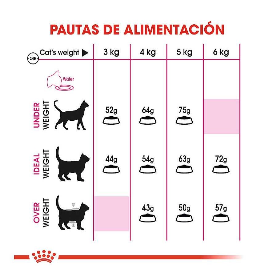 Gatos Royal Canin Pienso Seco | Royal Canin Regular Fit 32 Pienso Para Gatos