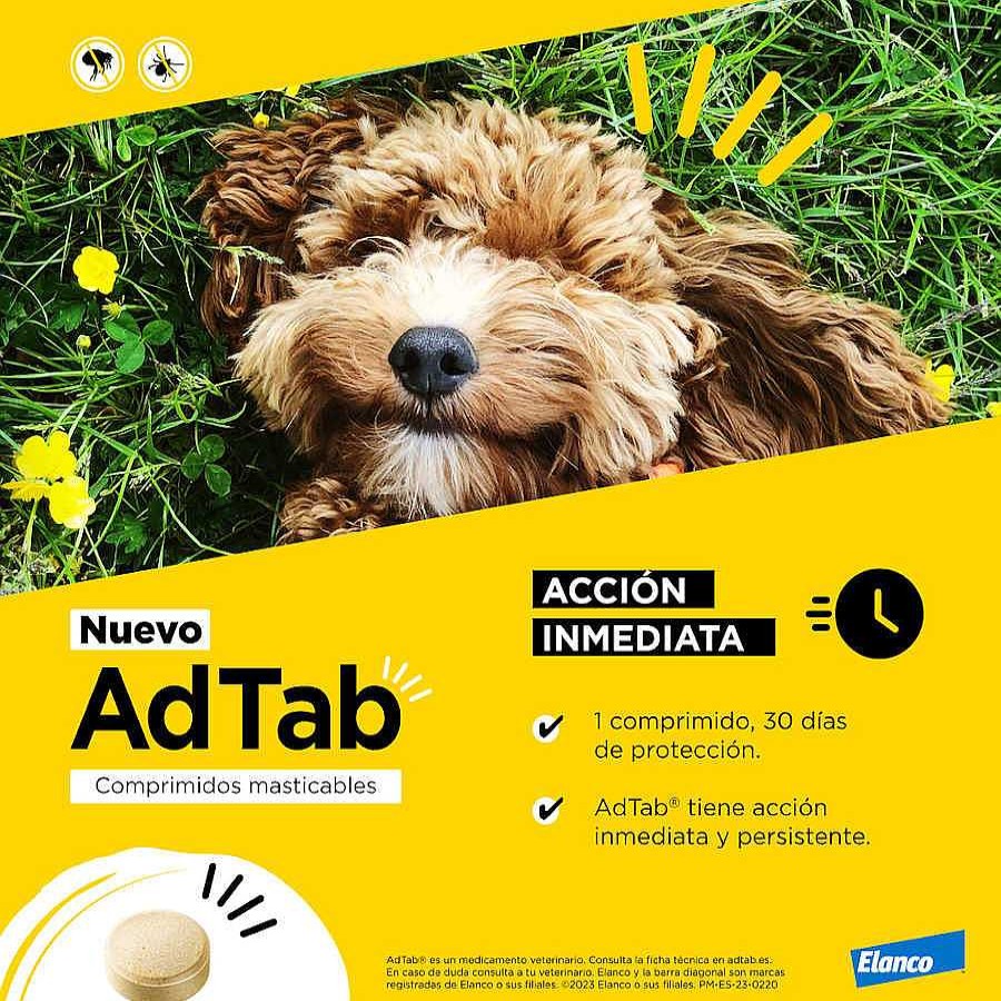 Perros AdTab Antiparasitarios | Adtab Comprimido Antiparasitario Para Perros