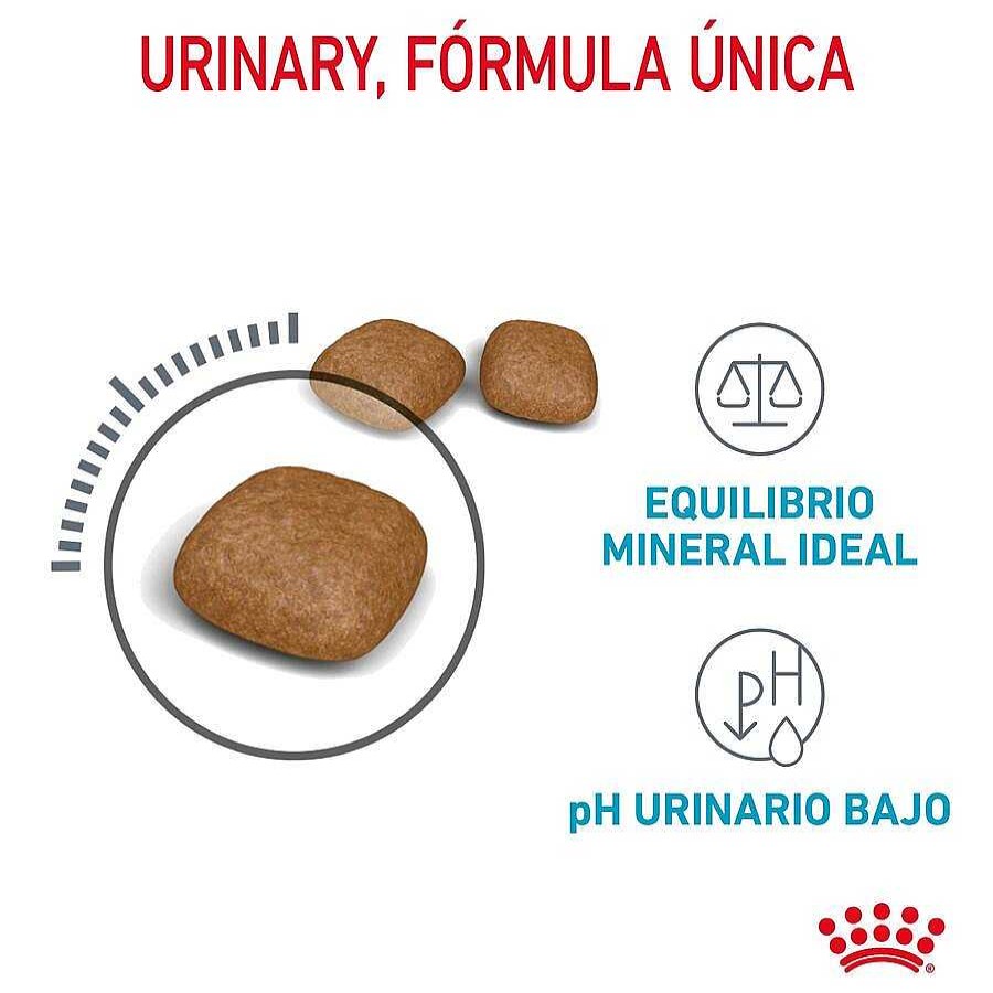 Gatos Royal Canin Pienso Seco | Royal Canin Urinary Pienso Para Gatos