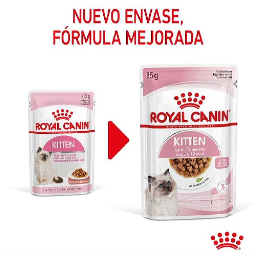 Gatos Royal Canin Comida H Meda | Royal Canin Kitten Sobre En Salsa Para Gatos