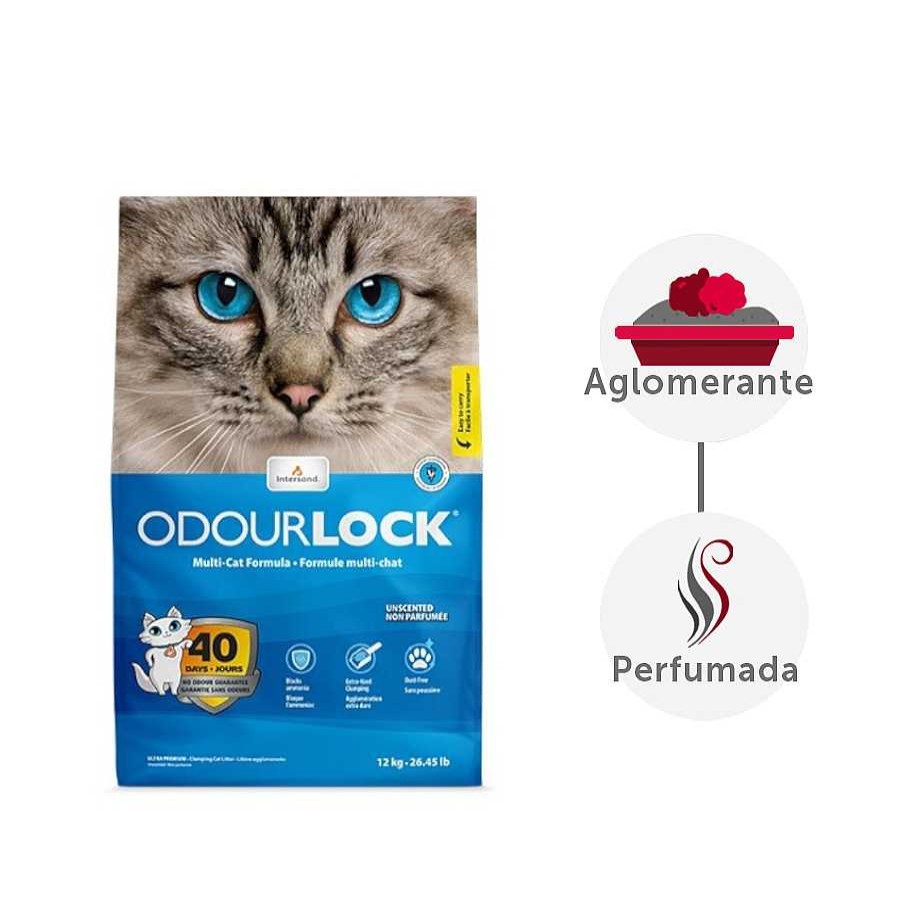 Gatos Odourlock | Intersand Odourlock Arena Aglomerante Inolora Para Gatos