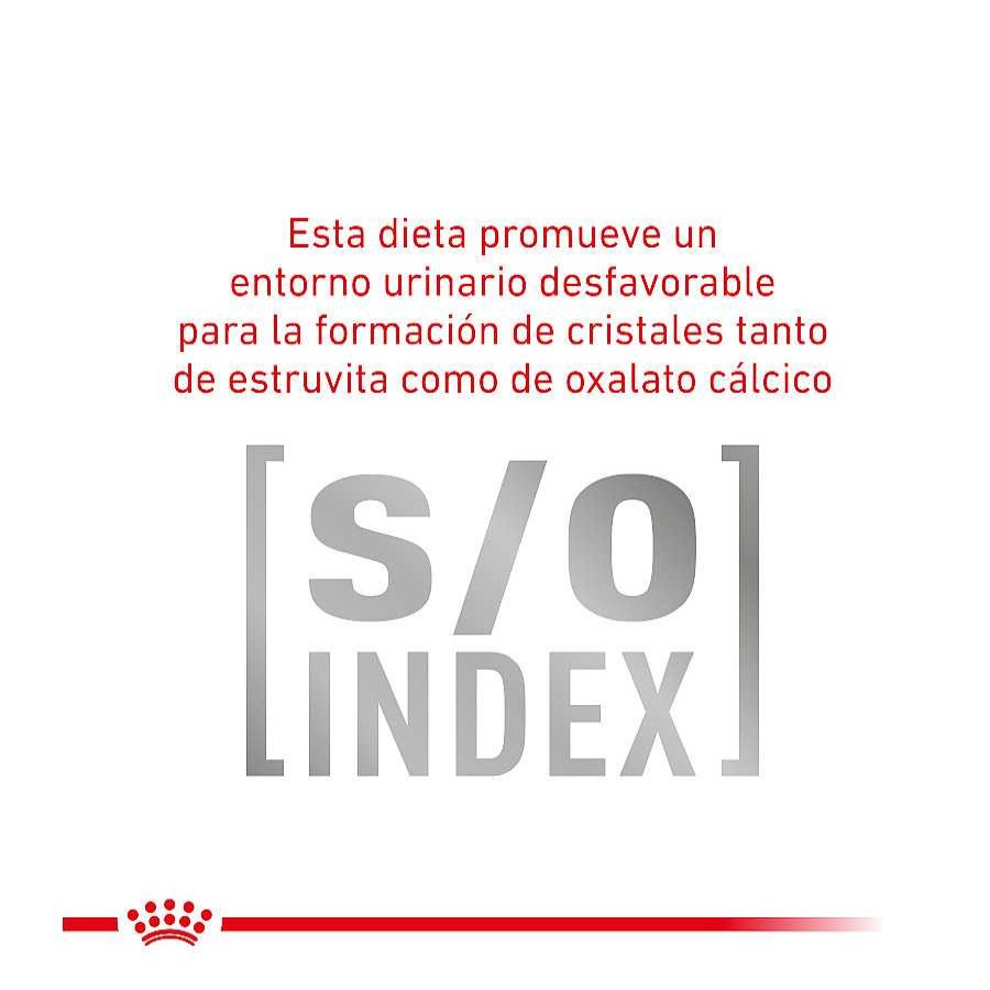 Gatos Royal Canin Pienso Seco | Royal Canin Veterinary Gastrointestinal Fibre Response Pienso Para Gatos