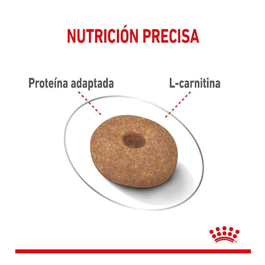 Perros Royal Canin Pienso Seco | Royal Canin Mini Light Weight Care Pienso Para Perros