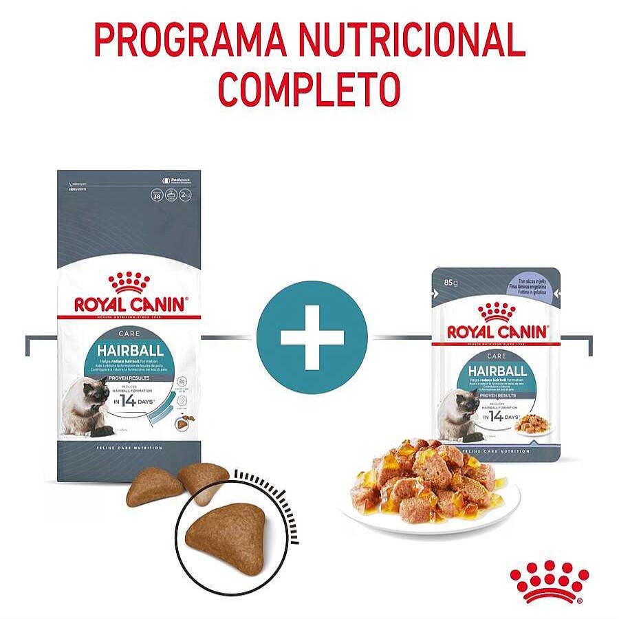 Gatos Royal Canin Pienso Seco | Royal Canin Intense Hairball Pienso Para Gatos