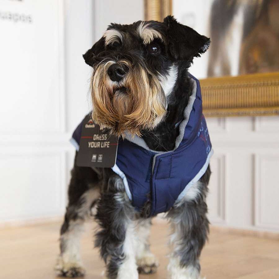 Perros Outech Ropa | Outech Abrigo Azul Con Estampado De Huesos Para Perros