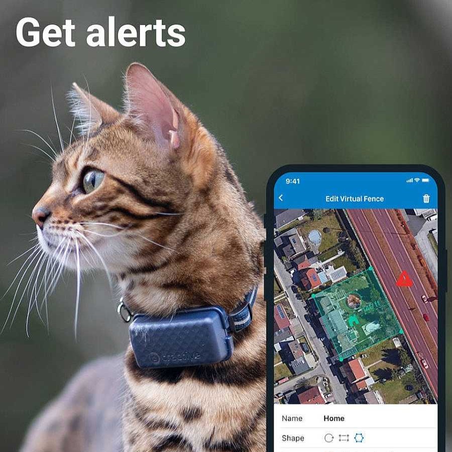 Gatos Tractive Arneses, Collares Y Correas | Tractive Localizador Gps Para Gatos