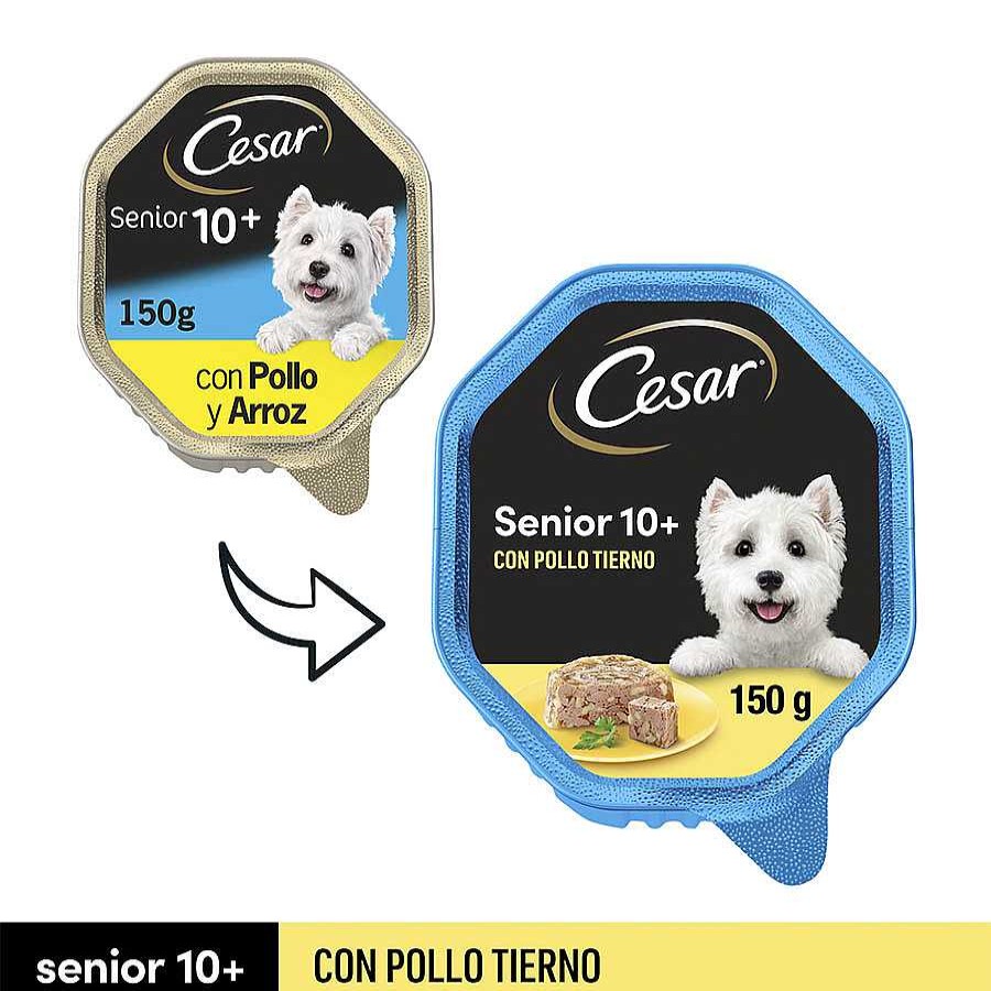 Perros Cesar Comida H Meda | Cesar Pollo Y Arroz Tarrina En Gelatina Para Perros Senior