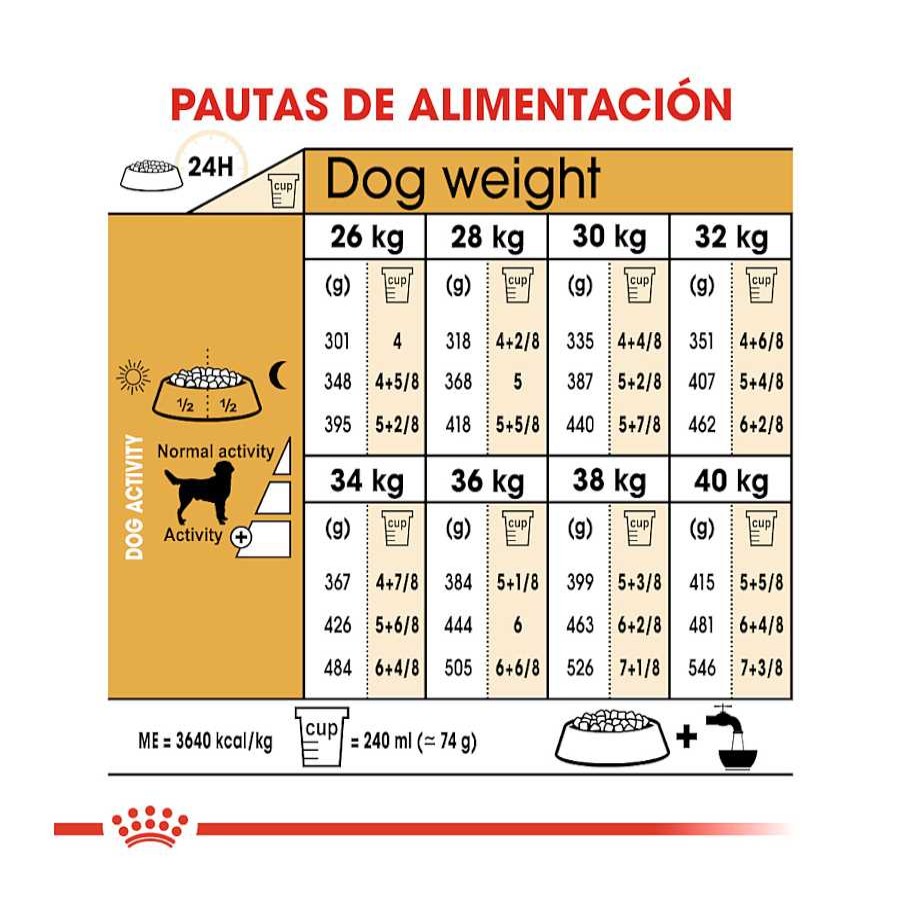 Perros Royal Canin Pienso Seco | Royal Canin Adult Labrador Retriever Pienso Para Perros