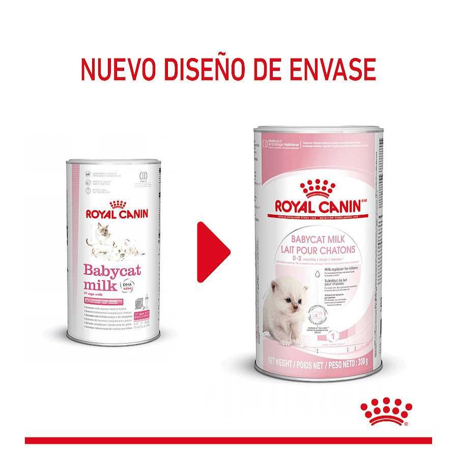 Gatos Royal Canin Pienso Seco | Royal Canin Leche Para Gatitos Primer A O