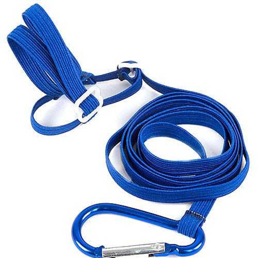 Accesorios TK-Pet | Tk-Pet Arn S Con Correa Azul Para Cotorras