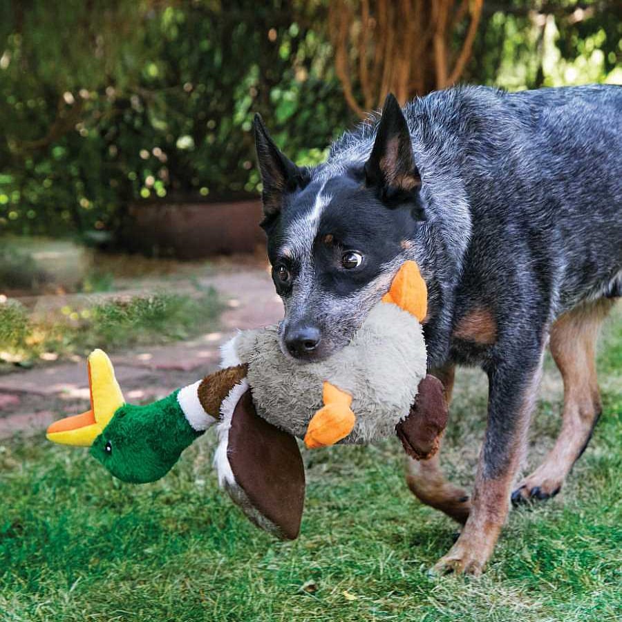 Perros Kong Juguetes | Kong Shakers Honkers Pato De Peluche Para Perros