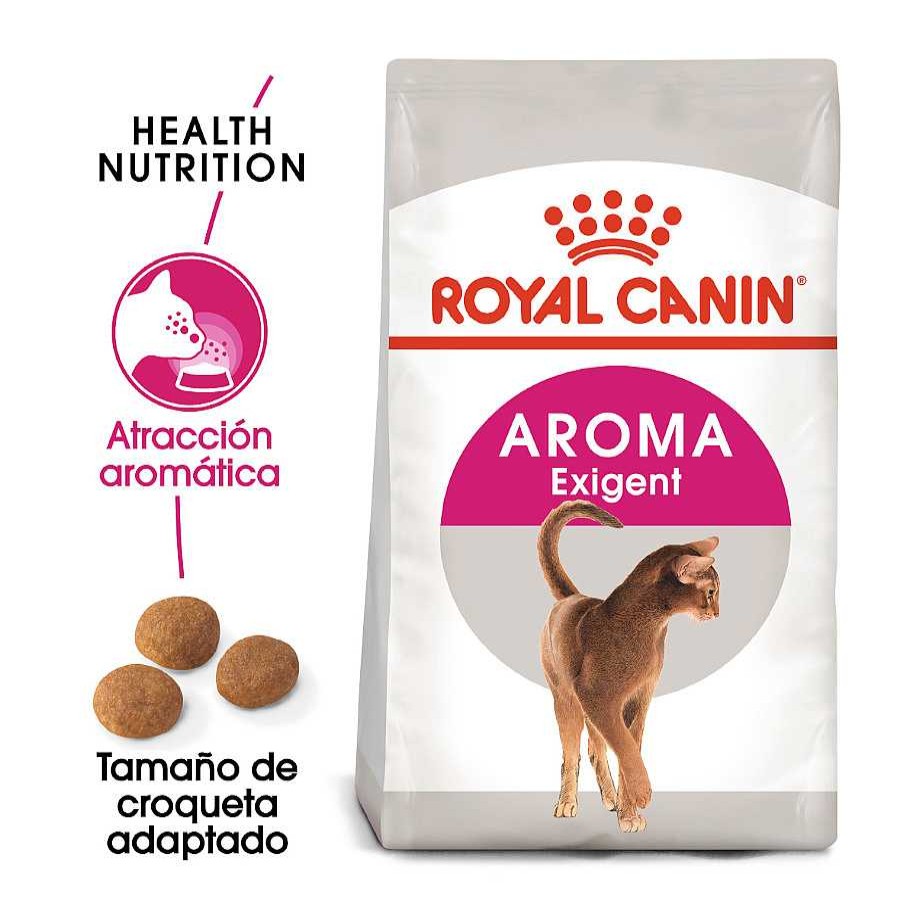 Gatos Royal Canin Pienso Seco | Royal Canin Adult Exigent Aroma Pienso Para Gatos