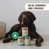 Perros Wild Balance Comida H Meda | Wild Balance Barf Salm N Y Ternera Lata Para Perros