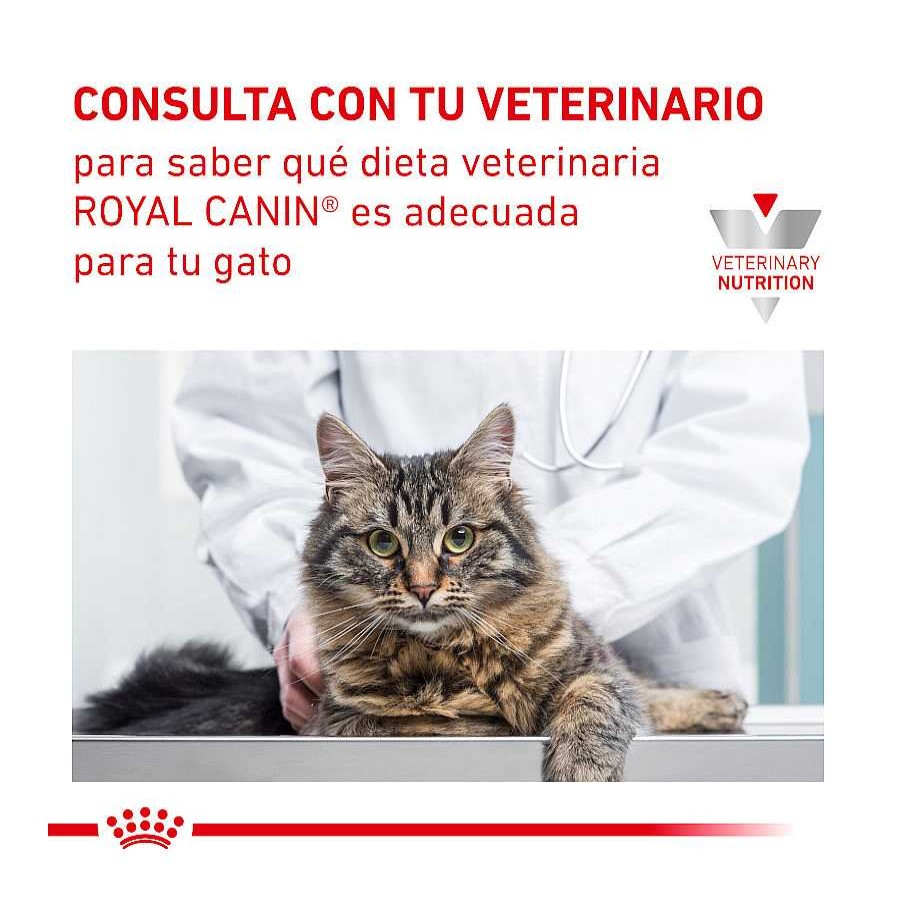 Gatos Royal Canin Pienso Seco | Royal Canin Veterinary Urinary Pienso Para Gatos