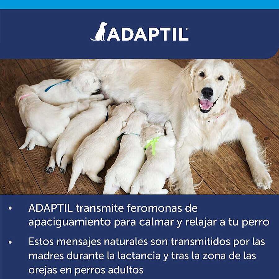 Perros Adaptil Arneses, Collares Y Correas | Adaptil Collar Tranquilizante Para Perros