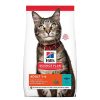 Gatos Hill's Pienso Seco | Hill'S Science Plan Adult At N Pienso Para Gatos