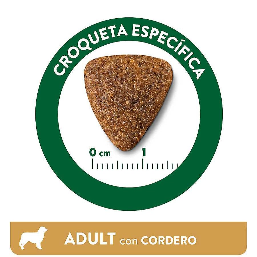 Perros Libra Pienso Seco | Libra Adult Cordero Pienso Para Perros