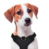 Perros Nayeco Arneses, Collares Y Correas | X-Trm Cronos Neon Flash Arn S Negro Para Perros