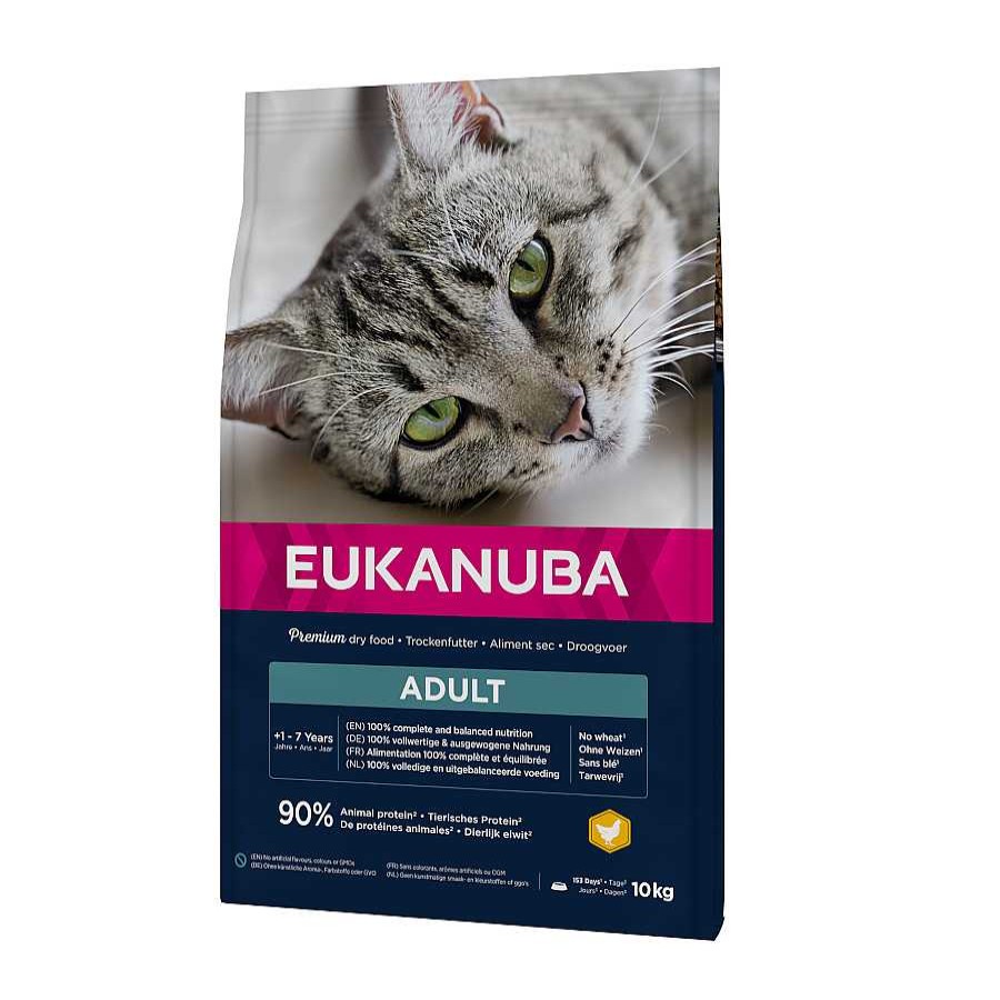 Gatos Eukanuba Pienso Seco | Eukanuba Adult Pollo E H Gado Pienso Para Gatos