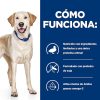 Perros Hill's Dietas Veterinarias | Hill'S Prescription Diet Food Sensitives D/D Pato Pienso Para Perros