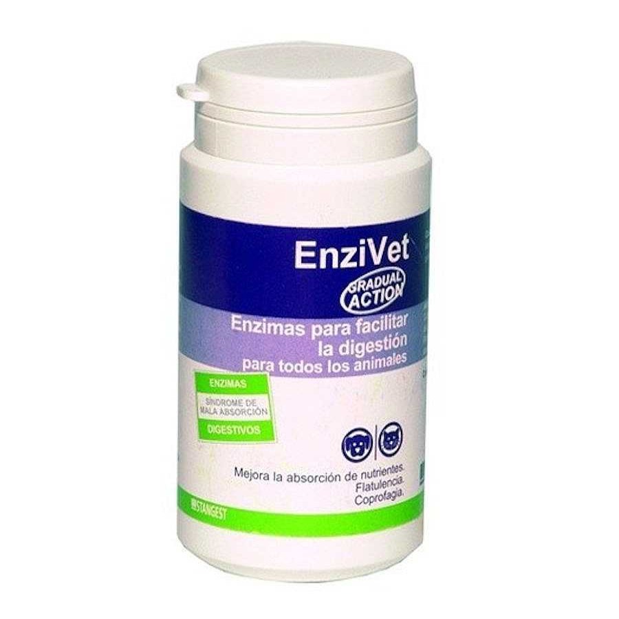 Perros Stangest Salud Y Complementos | Stangest Enzivet Enzimas Digestivas Para Perros Y Gatos