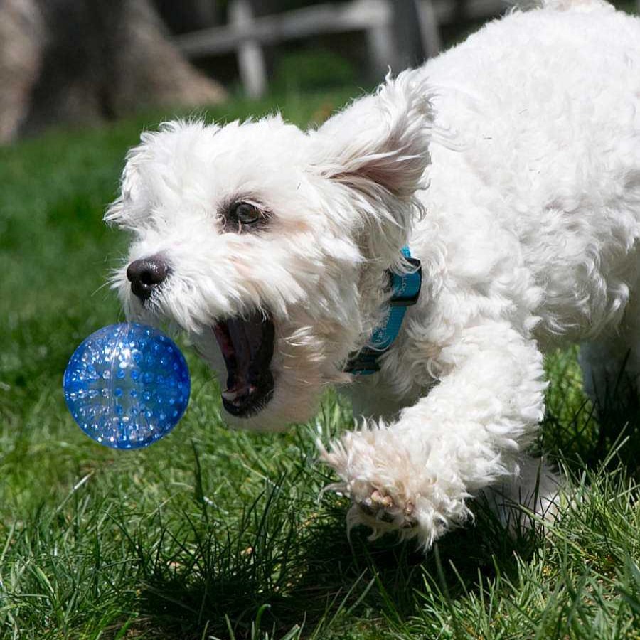 Perros Kong Juguetes | Kong Squeezz Geodz Pelota Con Sonido Para Perros