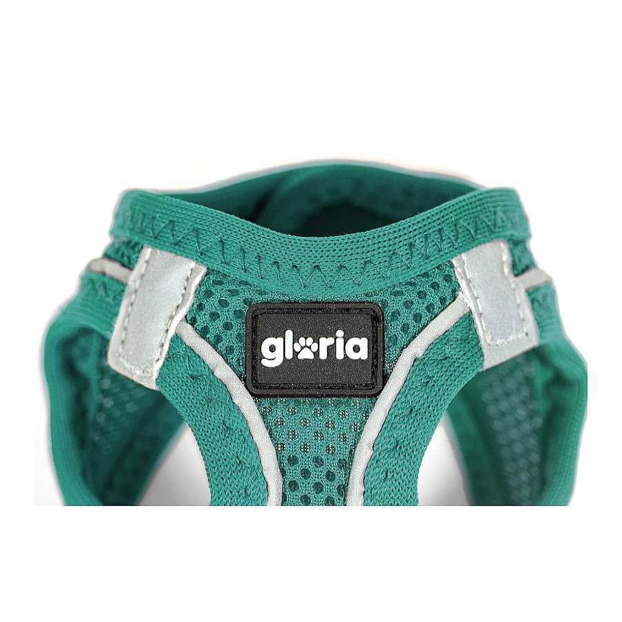 Perros Gloria Arneses, Collares Y Correas | Gloria Air Mesh Trek Star Turquesa Arn S/Vestido Para Perros