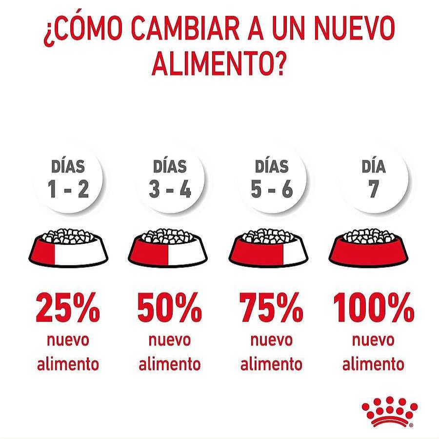 Gatos Royal Canin Pienso Seco | Royal Canin Appetite Control Care Pienso Para Gatos