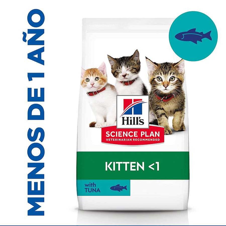 Gatos Hill's Pienso Seco | Hill'S Science Plan Kitten At N Pienso