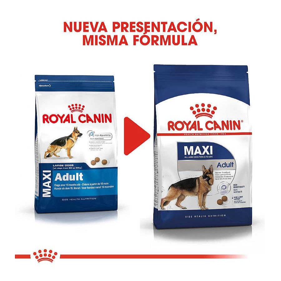 Perros Royal Canin Pienso Seco | Royal Canin Maxi Adult Pienso Para Perros