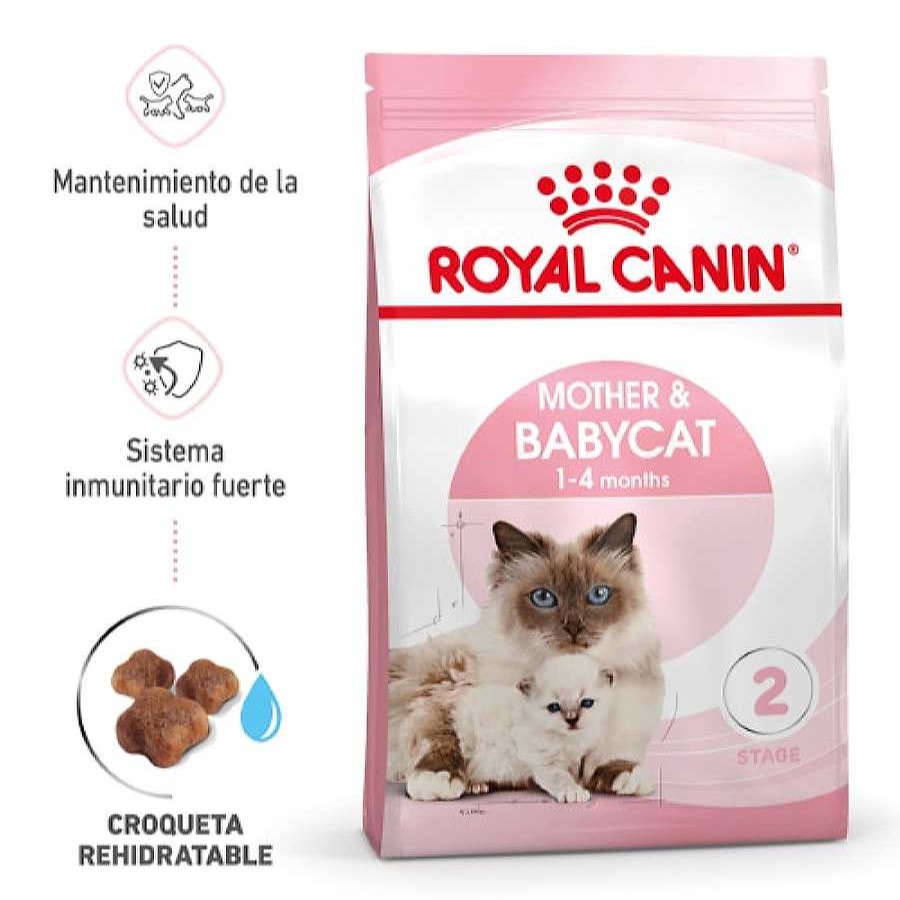 Gatos Royal Canin Pienso Seco | Royal Canin Mother & Babycat Pienso Para Gatos