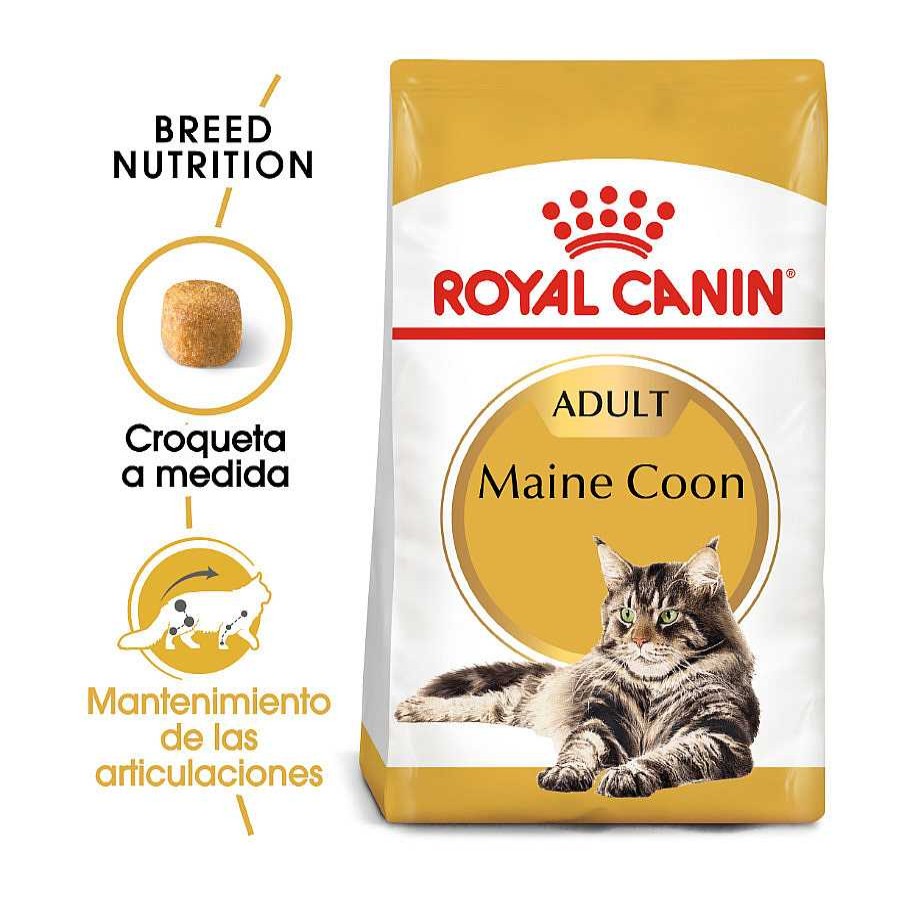 Gatos Royal Canin Pienso Seco | Royal Canin Adult Maine Coon Pienso Para Gatos