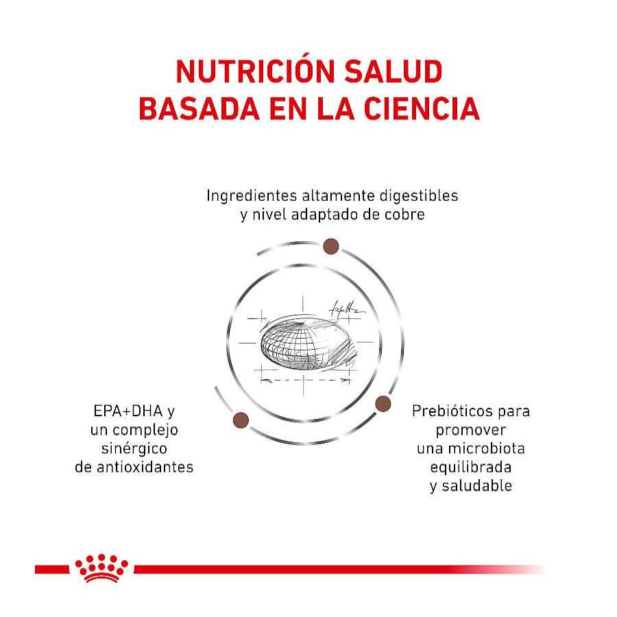 Gatos Royal Canin Pienso Seco | Royal Canin Veterinary Hepatic Pienso Para Gatos