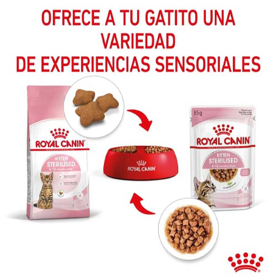 Gatos Royal Canin Comida H Meda | Royal Canin Kitten Sterilised Salsa Sobre Para Gatos