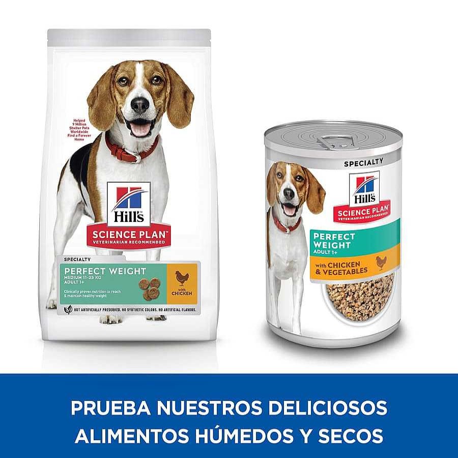 Perros Hill's Pienso Seco | Hill'S Science Plan Perfect Weight Adult Medium Pollo Pienso Para Perros