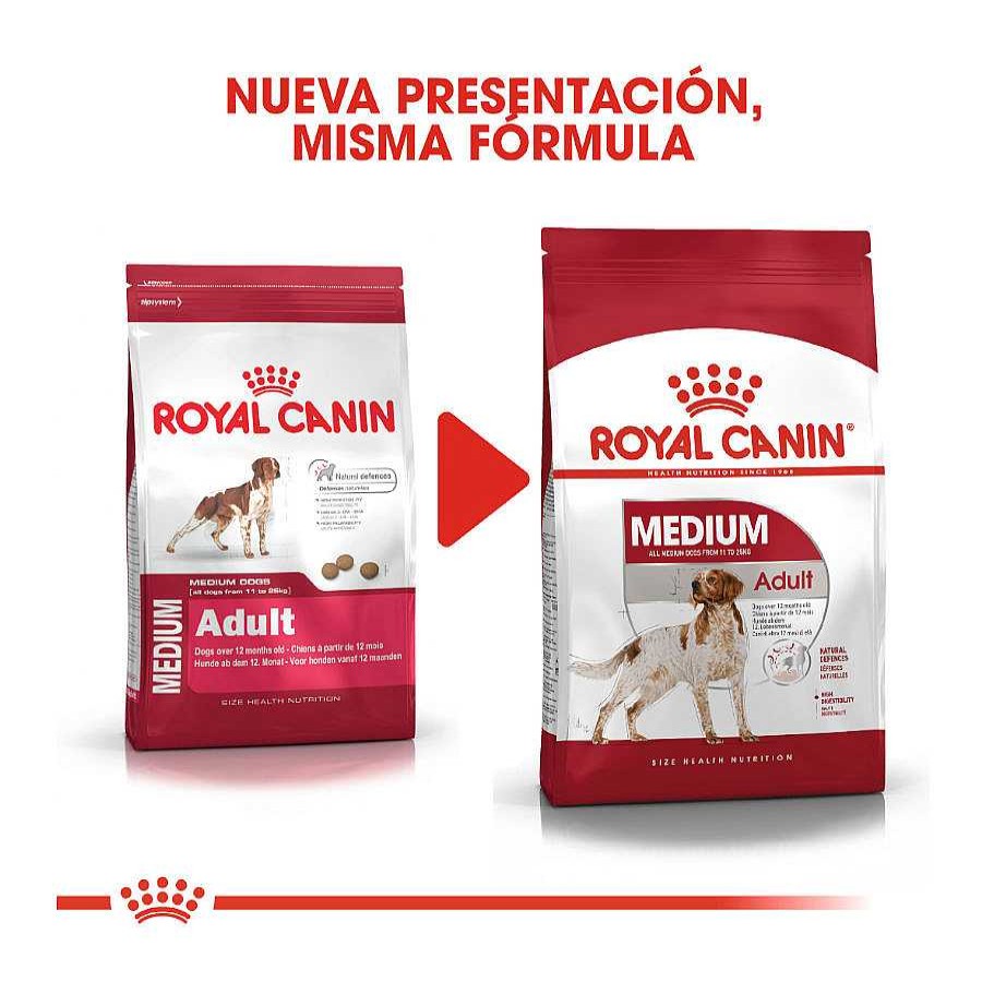 Perros Royal Canin Pienso Seco | Royal Canin Medium Adult Pienso Para Perros