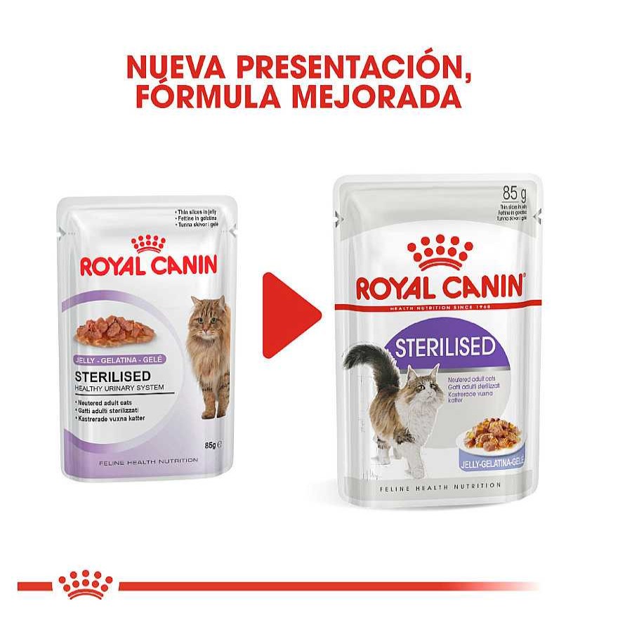 Gatos Royal Canin Comida H Meda | Royal Canin Sterilised Gelatina Sobres Para Gato