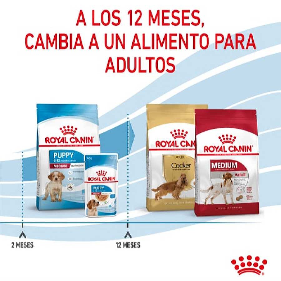 Perros Royal Canin Pienso Seco | Royal Canin Puppy Medium Pienso Para Perros