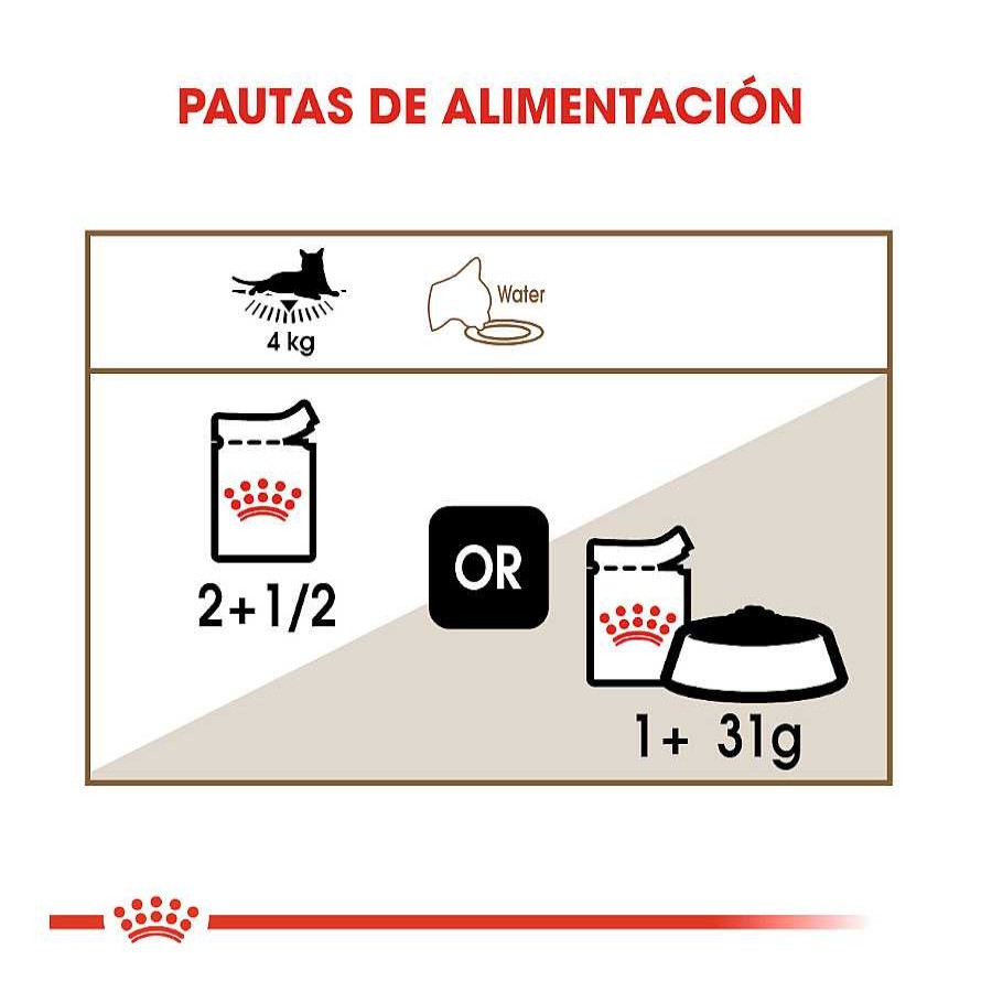 Gatos Royal Canin Comida H Meda | Royal Canin Ageing 12+ Gelatina Sobres Para Gatos