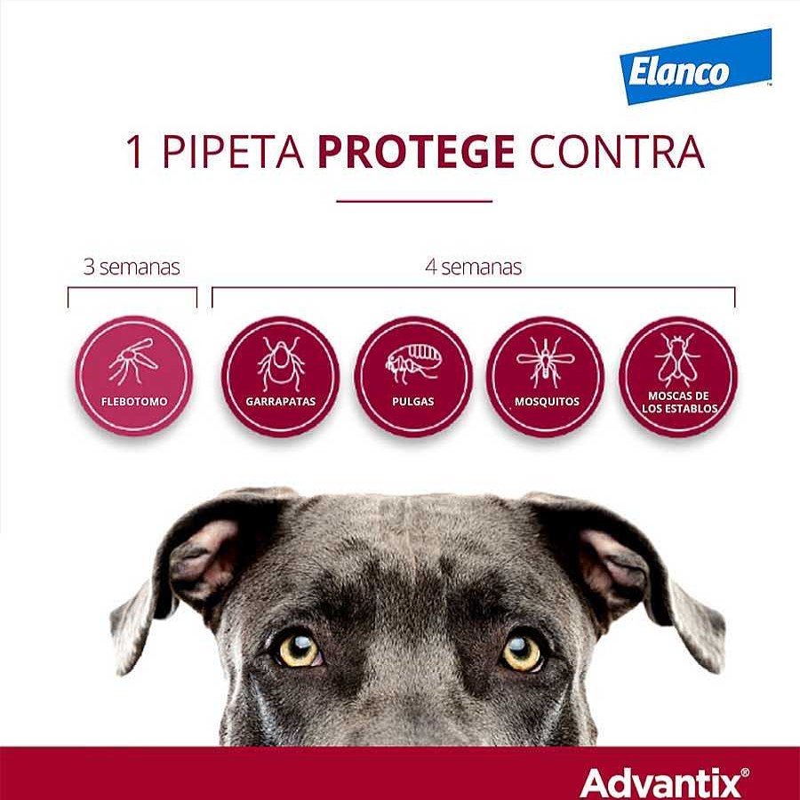 Perros Advantix Antiparasitarios | Advantix Pipetas Antiparasitarias Para Perros