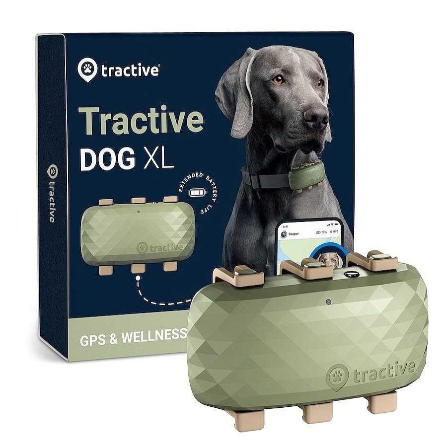 Perros Tractive Educaci N Y Adiestramiento | Tractive Gps Localizador Xl Para Perros