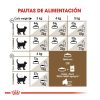 Gatos Royal Canin Pienso Seco | Royal Canin Ageing 12+ Sterilised Pienso Para Gatos