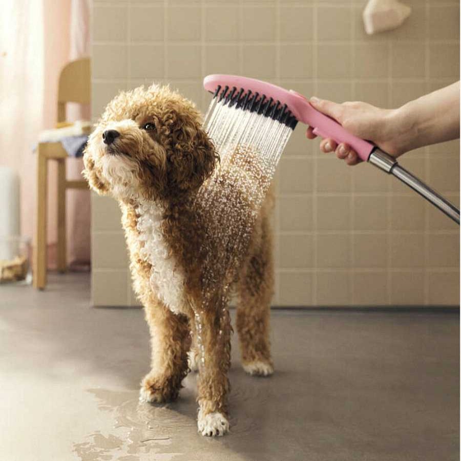 Perros Hansgrohe Cuidado Del Pelo | Hansgrohe Alcachofa De Ducha Rosa Para Perros