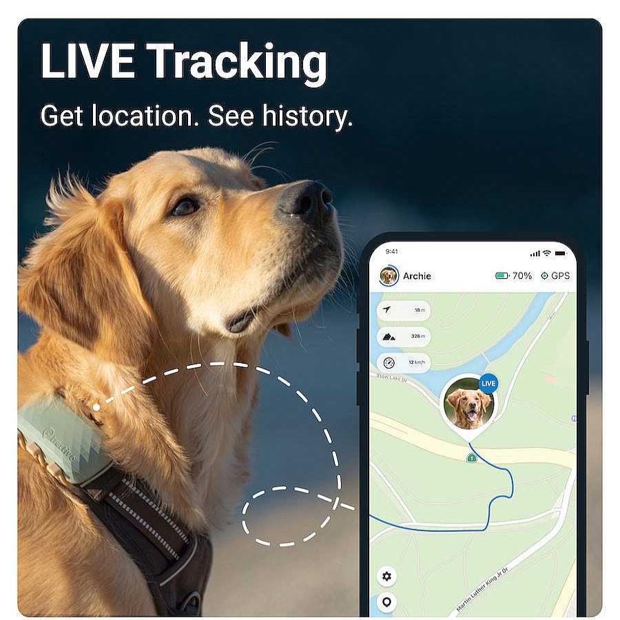 Perros Tractive Educaci N Y Adiestramiento | Tractive Gps Localizador Xl Para Perros