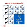 Gatos Royal Canin Pienso Seco | Royal Canin Home Life Indoor 7+ Pienso Para Gatos